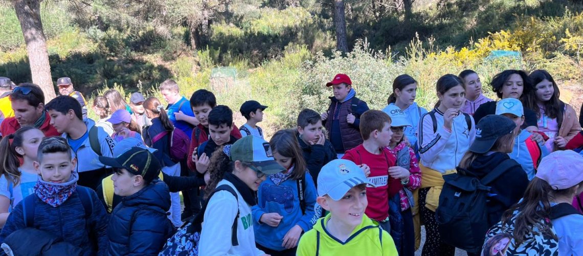 Hermandad San Isidro. Plantación 2023