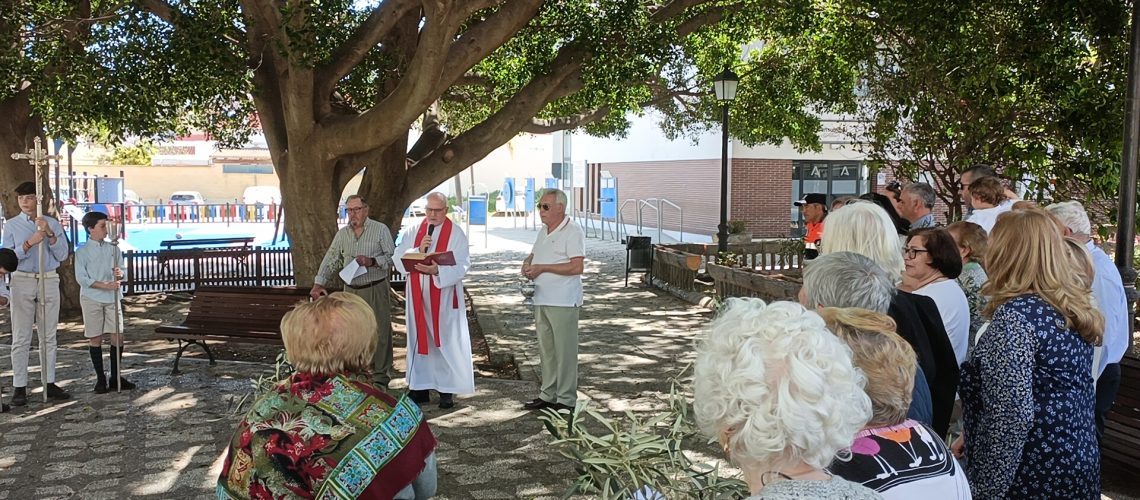 Bendición de palmas y olivos 2023 (23)