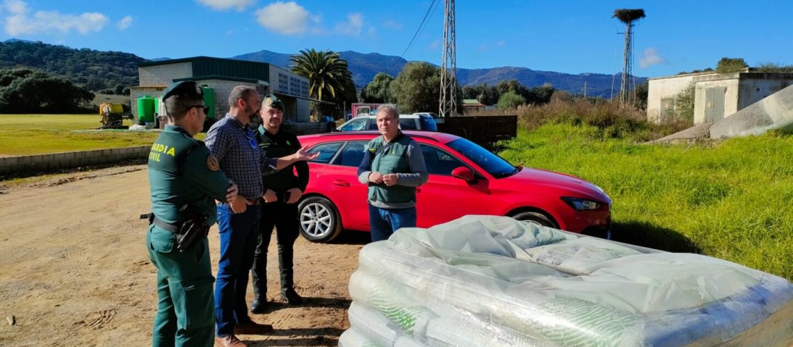 Dispositivo felino 2023