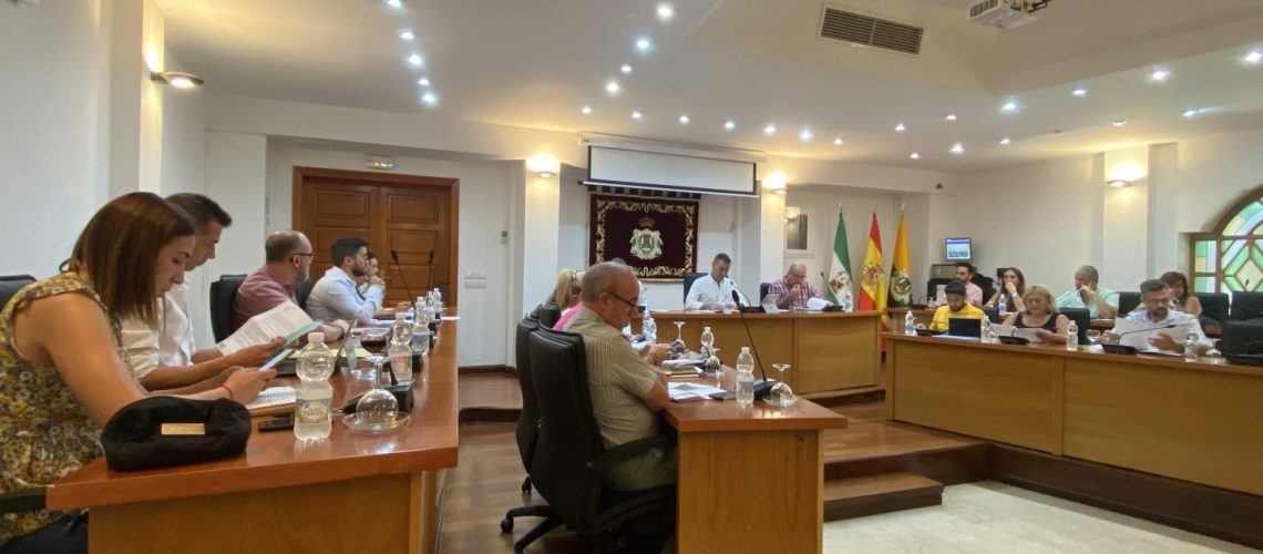 Ayto. Pleno repetición organización2023